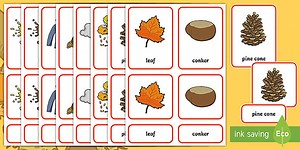 Autumn Montessori 3-Part Cards