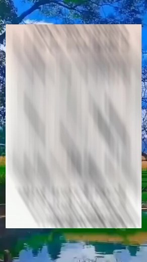 Exploring Barcode Patterns in Nature