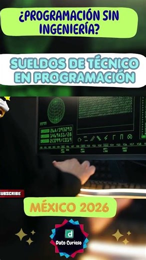Programming Technician Salaries in Mexico 2026