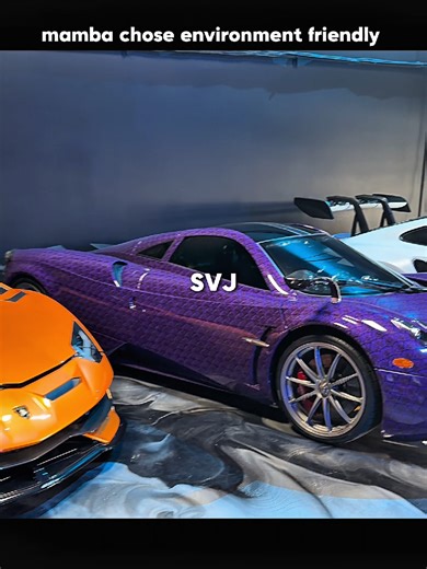 Eco-Friendly Mamba: Motivational Insights