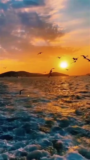 Matthew 5:8,10 Blessed are they which are persecuted for righteousness' sake: for theirs is the kingdom of heaven. 마5:11 Blessed are ye, when men shall revile you, and persecute you, and shall say all manner of evil against you falsely, for my sake. 마5:12 Rejoice, and be exceeding glad: for great is your reward in heaven: for so persecuted they the prophets which were before you. “Blessed are the pure in heart, for they will see God.”