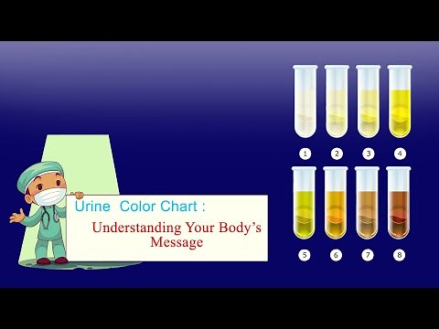 Urine Colors: A Guide to Understanding Your Body's Signals