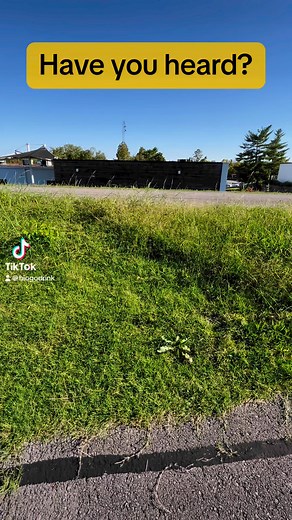 Biogo is as natural as the grass and the sun. Embrace life with Biogo. Unwind and find your balance as you cultivate a life filled with abundance and adventure. Don’t settle for the ordinary; choose to be extraordinary with Biogo. Be happy, be bold, be creative, and chase your dreams with Biogo! #healthylifestylechoices #fypシbiogodrinks.com | Skeet Roberts