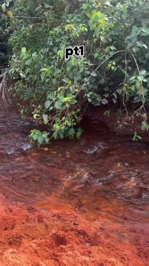 Unveiling Aji Adale: Cultural Mysteries of Africa