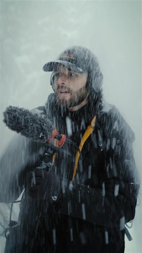 The sound of snow falling from the trees ☃️ #science