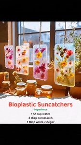 442K views · 1.4K reactions | DIY Bioplastic Suncatchers Sometimes,...