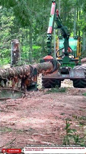 Best Innovative Forestry Machine for Cutting and Peeling Logs