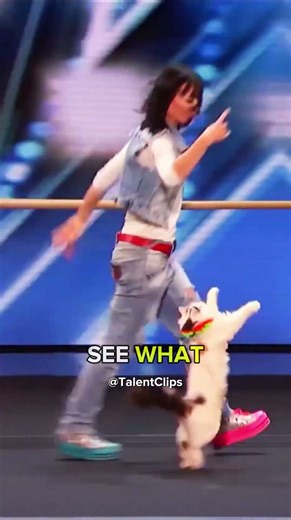 These Cute Cats Just Stole The Show! 😂🔥