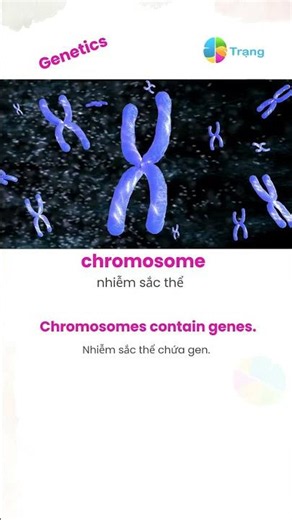 #4. Tiếng Anh khoa học tự nhiên_Genetics_Di truyền học