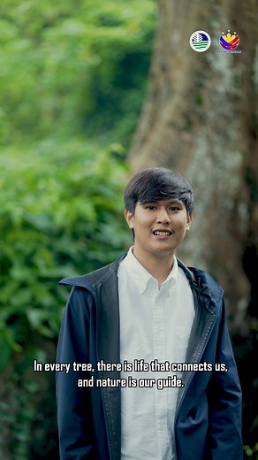 29K views · 538 reactions | #ForesTreeFriday || This native tree has roots so wide, it looks like it’s hugging the earth. 珞 Meet the Dao tree — a quiet giant that plays a powerful role in restoring our forests and fighting climate change.   Watch the reel and see why protecting native trees like the Dao matters for our future. #DENRinAction #PunoNgBuhay #PhEnvironmentMonth2025 #EnvironmentForLife | Department of Environment and Natural Resources (DENR) | Facebook