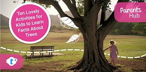 Ten Lovely Activities for Kids to Learn Facts About Trees