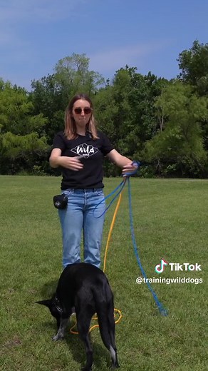 Wild Dogs on TikTok