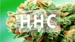 What is HHC & why has it been classified as illegal drug by Government?