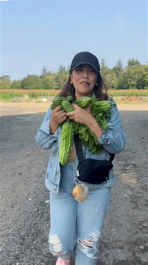 217K views · 4K reactions | Excited gid ako perme pag nag harvest. Bitter melon. #harvest #excited #followers #fyp #leahilongga #BuhayOFW #followers | Leah ilongga | Facebook