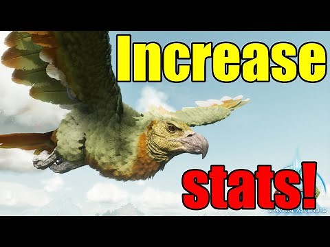 How to increase tamed dinos stats per level! Ark Survival Ascended
