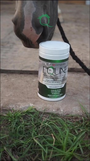 No, because Equine Performance Peptides™ replace — and out-perform — every other supplement in your feed room. No clutter. No confusion. Just results. Equine Performance Peptides™ helps ALL horses with: ⭐ Enhanced muscle strength and endurance ⭐ Improved joint and ligament health ⭐ Accelerated recovery from exertion ⭐ Boosted immune system function ⭐ Healthier skin and coat #EquinePerformance #EquineHealth #PerformanceHorses #EquineWellness #EquineSupplements #EquineRecovery #EquineTherapy #Hors