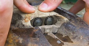 The Engineering That Makes A Road Cat’s Eye Self-Cleaning