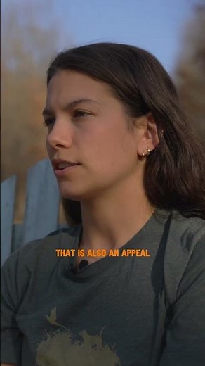 Upland bird hunting for pheasant and quail