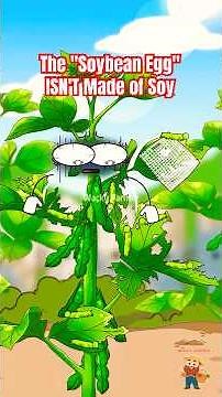 The "Soybean Egg" That ISN'T Made of Soy #soybean #animation