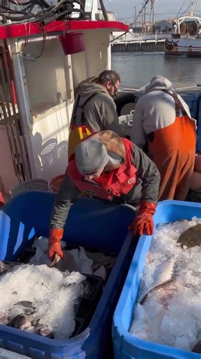 The HOLD FAST Docking 🚢