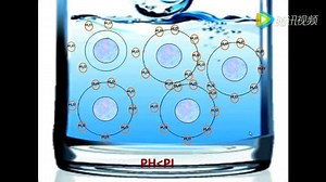 蛋白质亲水胶体性质与沉淀