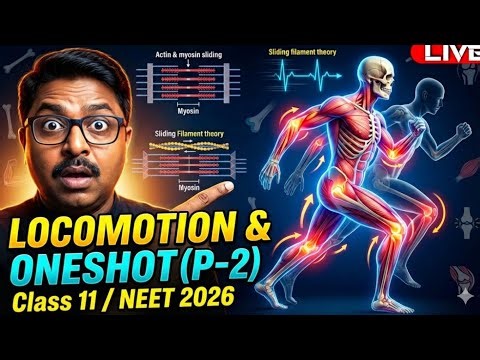 LOCOMOTION AND MOVEMENT One SHOT (P-2) | NEET 2026 | Class 11 Biology | Full Chapter 17