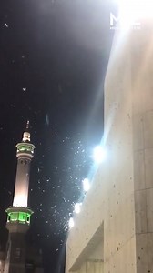 63K views · 575 reactions | A swarm of what appears to locusts descended on the Grand Mosque in Mecca ... (tap to expand) | Middle East Eye | Facebook