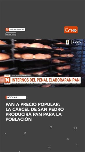 #NotivisiónLPZ | Ante la escasez y el encarecimiento de alimentos, privados de libertad de San Pedro anunciaron la producción de miles de unidades de pan para venderlas a precio accesible. La medida busca aliviar el bolsillo de las familias paceñas en medio de la crisis. ▶️ Más información en www.reduno.com.bo #RedUno #Notivisión #RedUnoDigital #LaPaz #SanPedro #PanDeBatalla