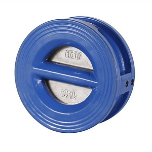 [Hot Item] DN300 Dual Plate Wafer Type Check Valve