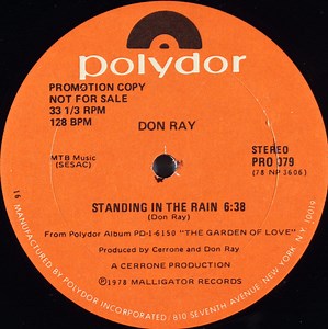 Don Ray - Standing In The Rain