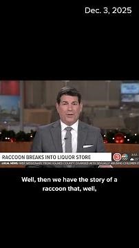 Raccoon returned to wild after ransacking Virginia liquor store