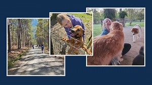 Animal rescue scrambles for new structure to house pets after shed scam