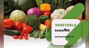 5.6K views · 164 reactions | #MyGardenBd Grow fresh vegetables at...