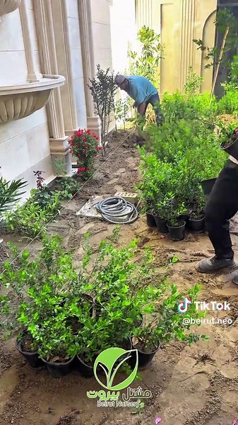 تصميم حدائق جميلة تجمع بين الجمال والطبيعة