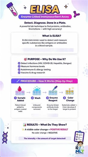 ELISA 🧪 – Detecting antigens and antibodies with precision!