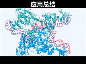 AlphaFold3实操专题之应用总结