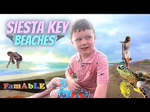 Siesta Key Florida Vacation Vlog 5 (What's Up With These Beaches?)