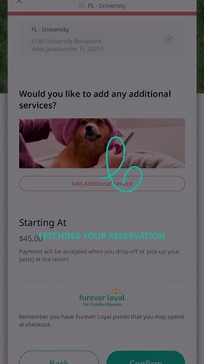 Getting straight to the play yard fun has never been so simple! With the help of the Pet Paradise mobile app, our pet parents can book reservations, view our webcams, pay future deposits and more — while their four-legged friends hit the turf! | Pet Paradise