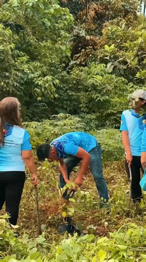 2.3K views · 38 reactions | WATCH the highlights of the AGAK Drug Rehabilitation Program Tree Growing Activity at Barangay Green Valley on Tuesday, November 18, 2025. #ShineOrmoc #OrmocisinGoodHands #TreeGrowingActivity #ProtectMotherEarth | City Government of Ormoc | Facebook