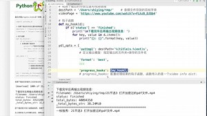 85 在程序中使用youtube-dl的progress_hooks参数