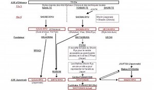 L'histoire du Karaté, claire et nette