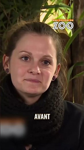 🦁 Charlotte reprend ses réflexes #unesaisonauzoo #zoo #animaux