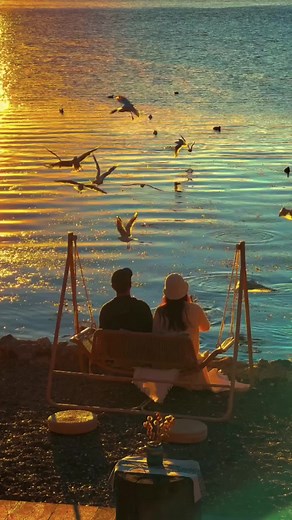 Romantic Sunset Nature Love Videos