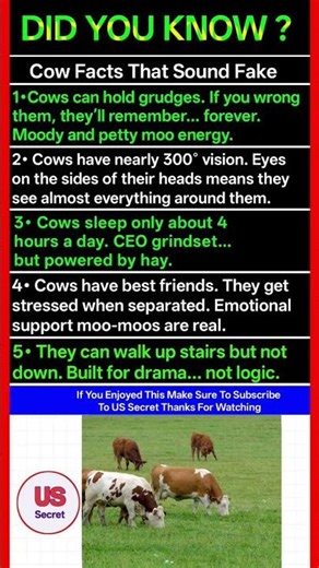 Cow Facts That Sound Fake