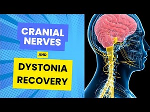 Understanding Cranial Nerves: Key to Dystonia Recovery and Healing