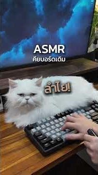 Review of Keychron K2 Max 75% wireless keyboard #lalashopth