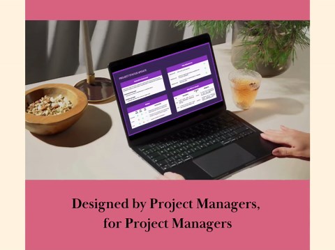 Project Manager Status Report Template PPT PM Dashboard Weekly Executive Project Program Digital Download KPI Milestone Update Slides - Etsy
