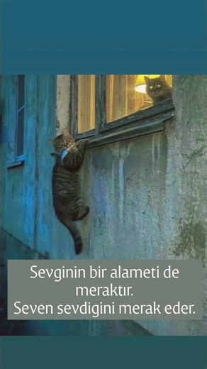 Bende n’apim işte 📌