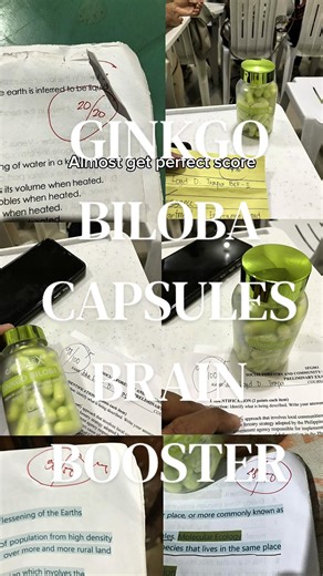 Enhance Your Memory with Ginkgo Biloba Supplements