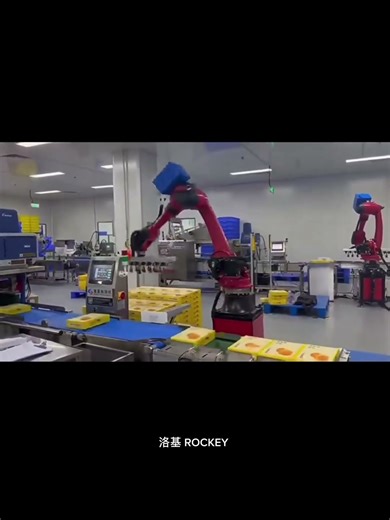 Stacked by a Robot!? 🤖 Chinese Palletizing Arm Runs Wild! 📦🚀#PalletizingRobot #RobotArm #techshorts